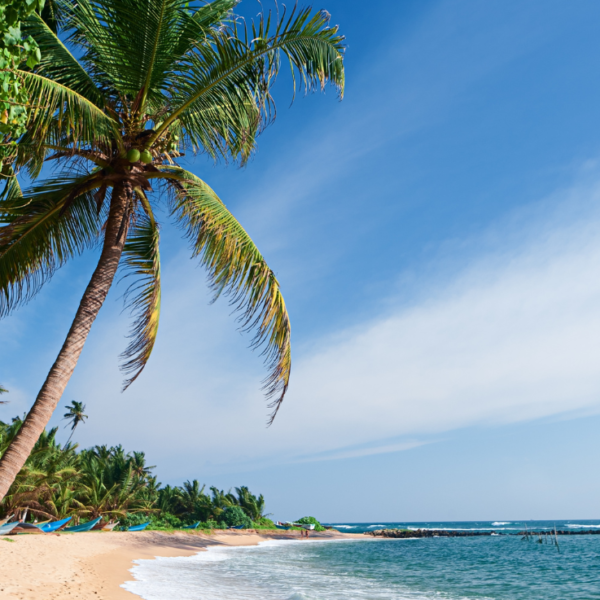 Eagle Airways Tour & Travel